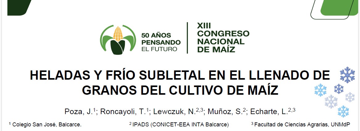 Póster sobre heladas y frío subletal en maíz